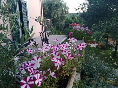 Bed & Breakfast La Vie Est Belle