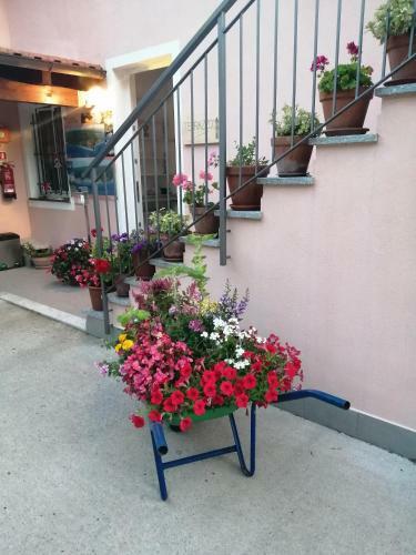 Bed & Breakfast La Vie Est Belle