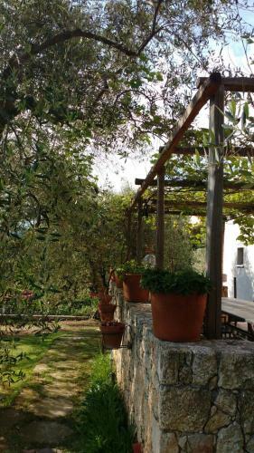 Bed & Breakfast La Vie Est Belle