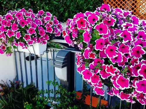 Apartamento Holiday Home Arzilli