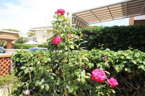 Apartamento Holiday Home Arzilli