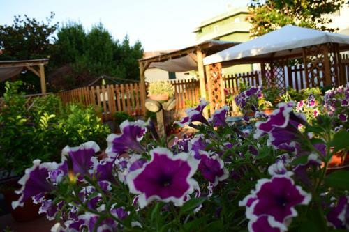 Hostal Domus Socolatae Apartments&suites
