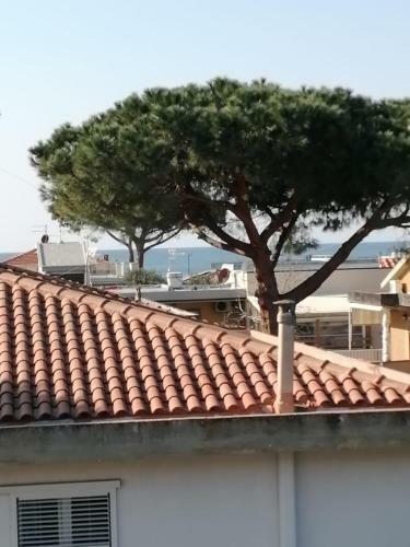 Apartamento Capraia Appartamenti