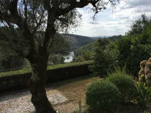 Quinta De Santa Maria Do Dao