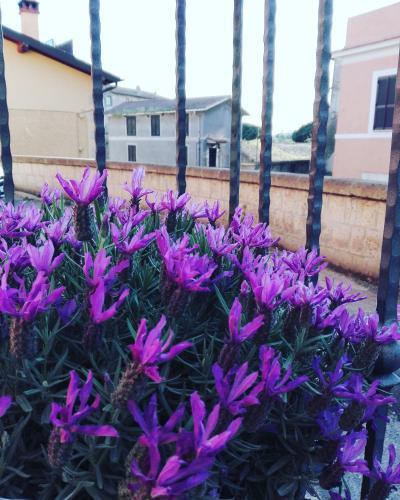 Apartamento Il Palazzetto Sulla Francigena