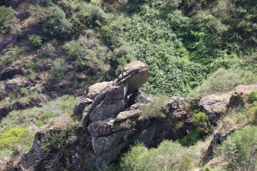 Agroturismo Quinta Da Riba M�