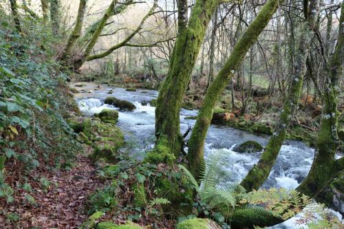 Agroturismo Quinta Da Riba M�