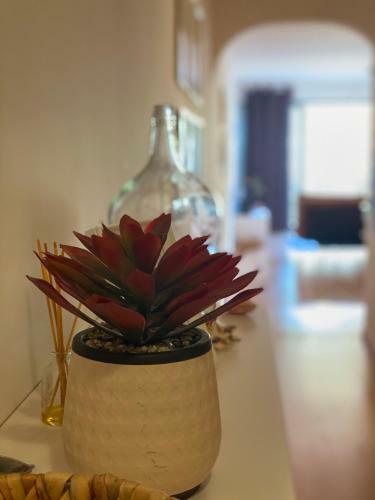 Apartamento Santa Lovers