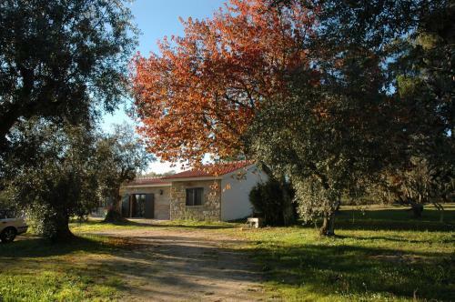 Agroturismo Quinta Da Pedra Mija