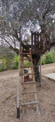 Agroturismo Quinta Da Pedra Mija