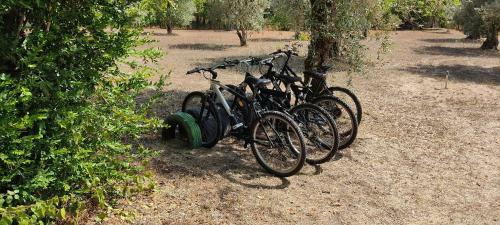 Agroturismo Quinta Da Pedra Mija