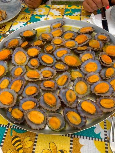 Ninho Das Cagarras