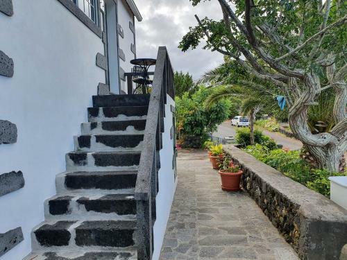 Casa Do Gato Preto