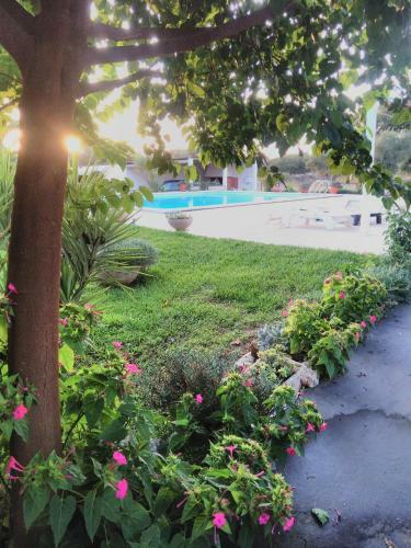 Quinta Da Perdiz Country House