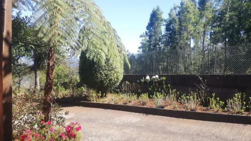 Chalet Pico Das Pedras
