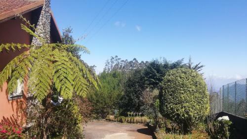 Chalet Pico Das Pedras