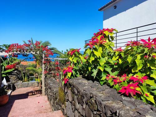 Apartamento A Fonte