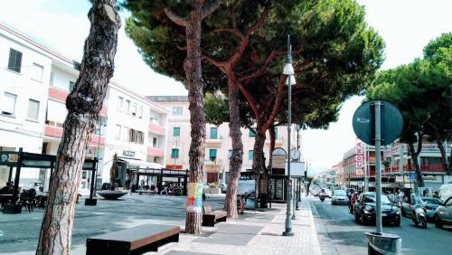 Apartamento Flowers House Umberto