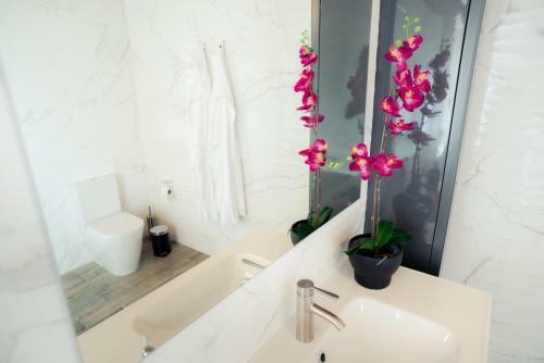 Agroturismo Casa Dos Tomarinhos