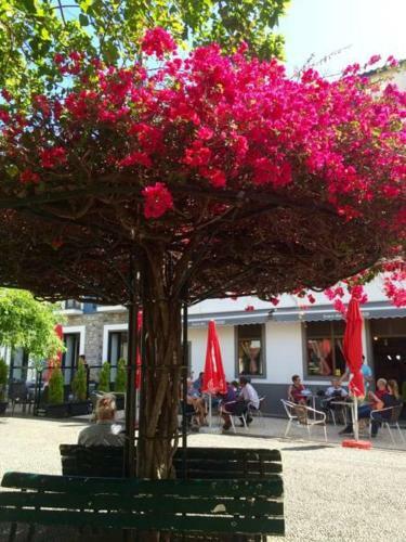 Apartamento Estef�nia
