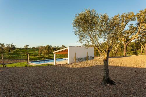 Agroturismo Cerro Da Campani�a