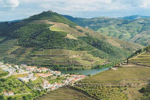 Bed & Breakfast Casa Do Arco By Douro Exclusive