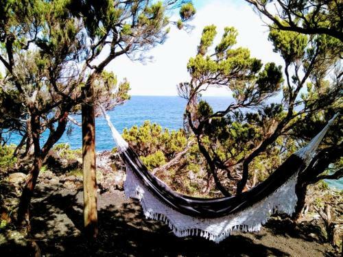 Casa Do Caramba - The Dream House