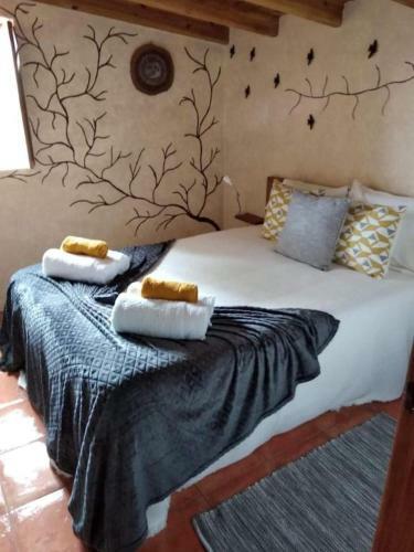 Casa Do Caramba - The Dream House