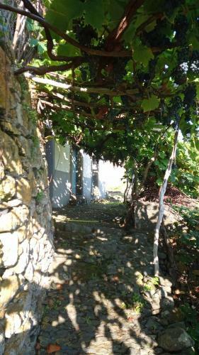 Apartamento Lazy Lizard By The Ocean