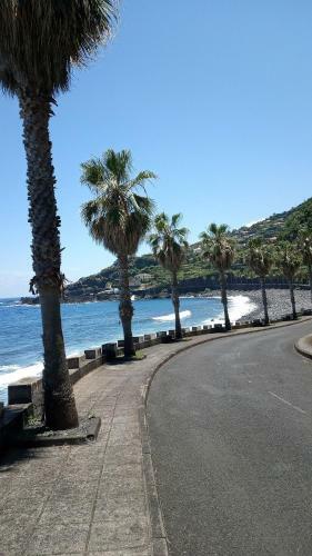 Apartamento Lazy Lizard By The Ocean