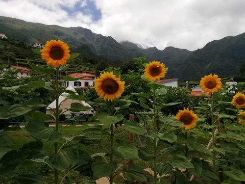 Agroturismo Granny's Farm