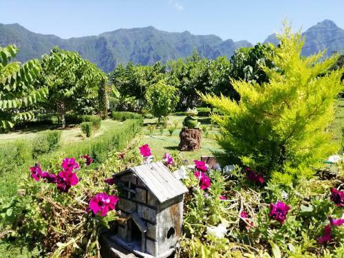 Agroturismo Granny's Farm