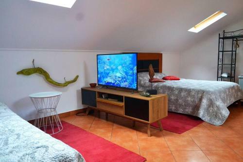 Apartamento Lazy Lizard Studio