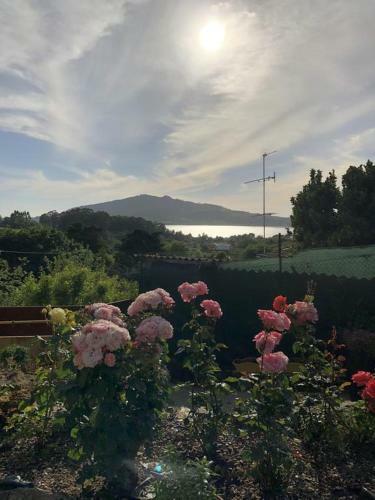 Casa Da Av� Quina
