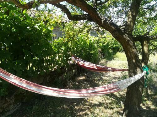 Bed & Breakfast Solar Dos Carvalhos