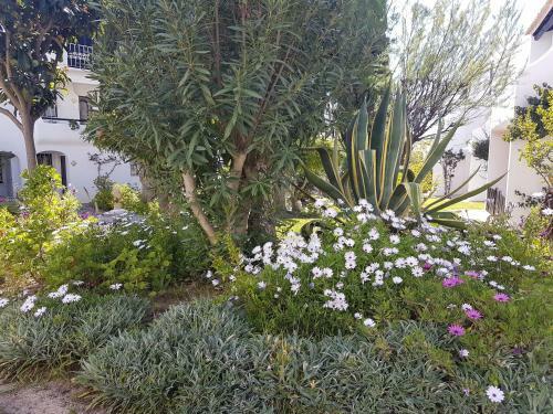 Apartamento Perfect Holidays - Sao Rafael