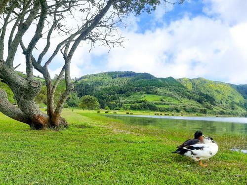 Sete Cidades Nature Villa