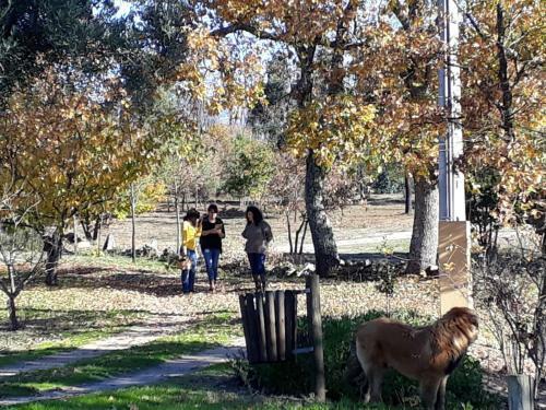 Agroturismo Quinta Damigo