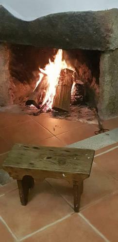 Agroturismo Quinta Damigo