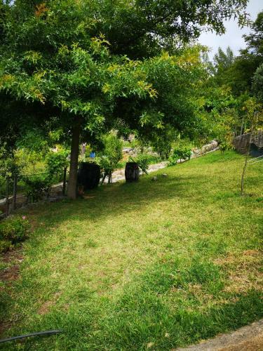 Encosta Do Douro - Rio Douro