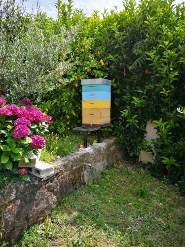 Encosta Do Douro - Rio Douro