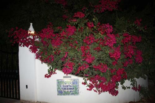Agroturismo Quinta Teresinha