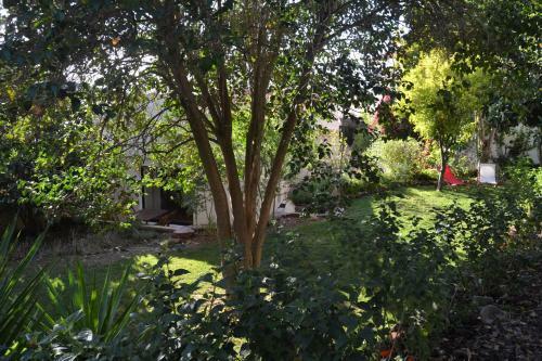 Garden In The City