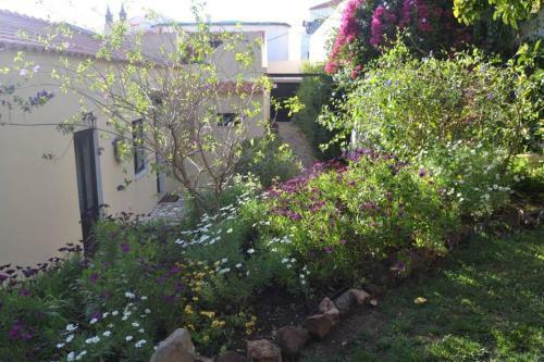 Garden In The City