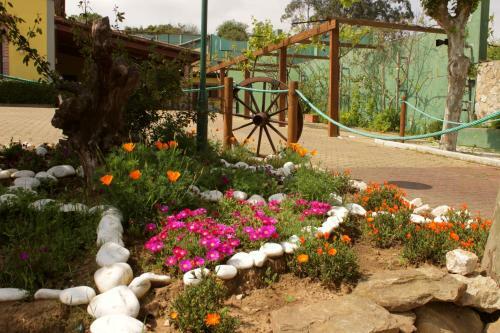 Agroturismo Quinta Sobral Prestige - Little Rustic
