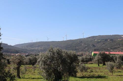 Greencamp Eco Resort