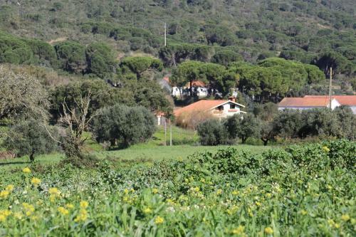 Greencamp Eco Resort