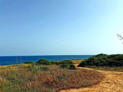 Bed & Breakfast Casa Canavial