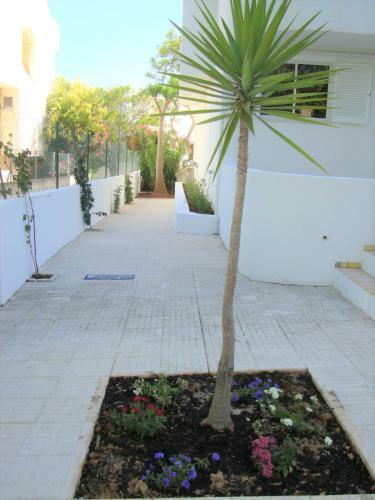Apartamento Belinha Guest House