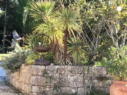 Charming Villa With Heated Pool Near Sandy Beach, Hiking, Golf And Wineries